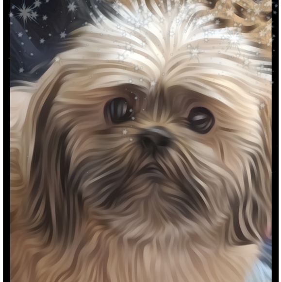 Meet your Posher, Paula - Picture 3 of 3